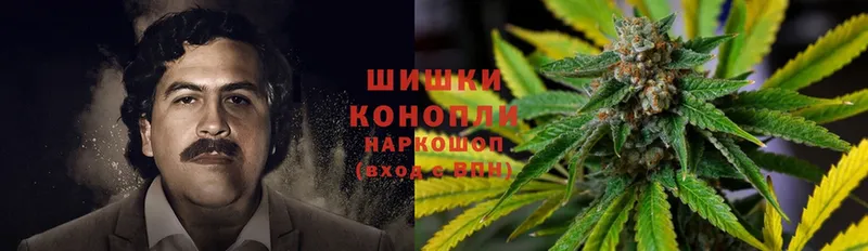 MEGA как войти  Тольятти  Бошки Шишки THC 21%  дарнет шоп 